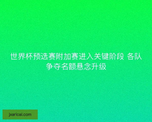世界杯预选赛附加赛进入关键阶段 各队争夺名额悬念升级