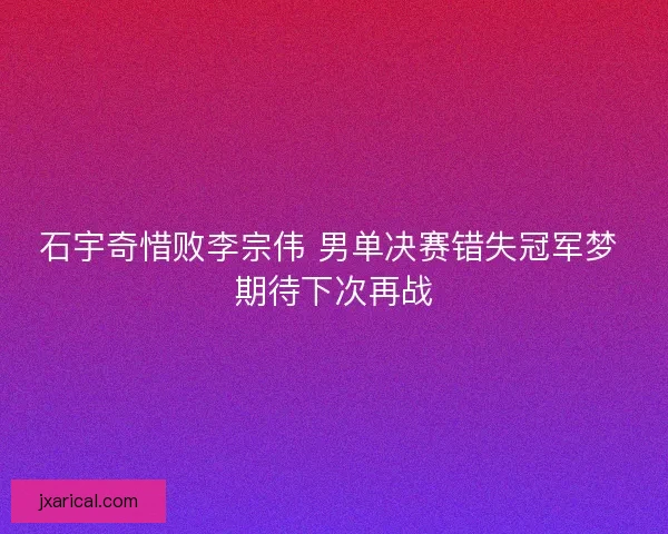 石宇奇惜败李宗伟 男单决赛错失冠军梦 期待下次再战